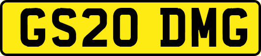 GS20DMG