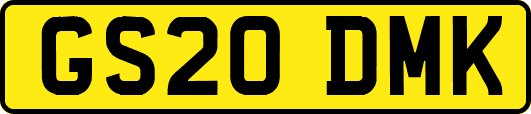 GS20DMK