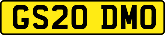GS20DMO