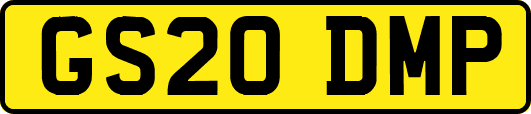 GS20DMP