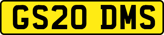 GS20DMS