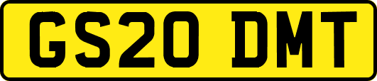 GS20DMT