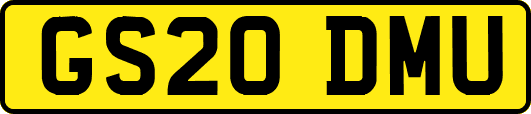 GS20DMU