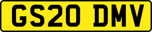 GS20DMV