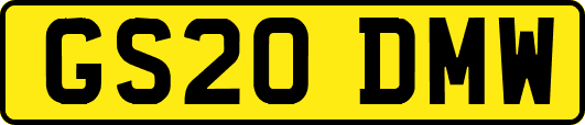GS20DMW