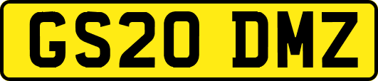 GS20DMZ
