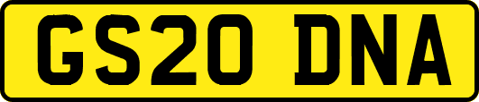 GS20DNA