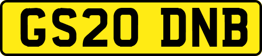 GS20DNB