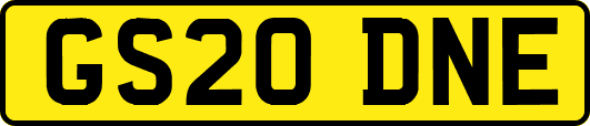 GS20DNE