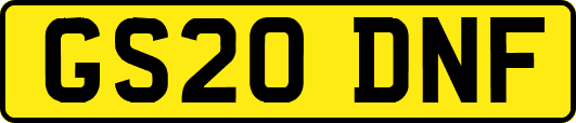 GS20DNF