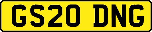 GS20DNG