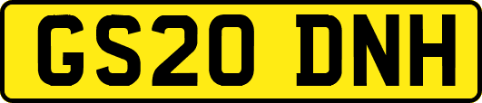 GS20DNH