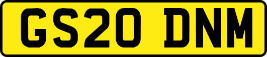 GS20DNM