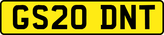 GS20DNT