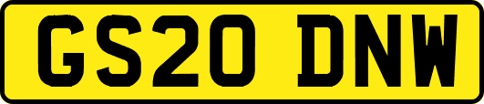 GS20DNW