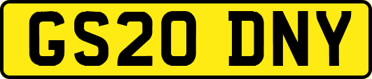 GS20DNY