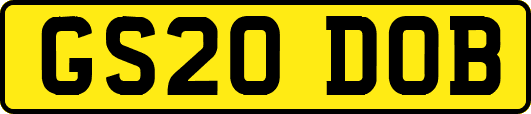 GS20DOB