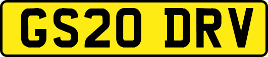 GS20DRV