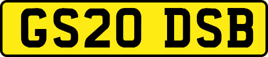 GS20DSB