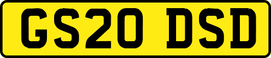 GS20DSD