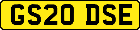 GS20DSE