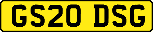 GS20DSG