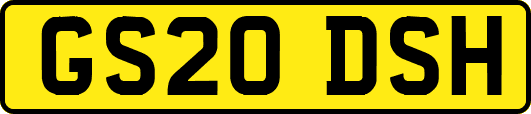 GS20DSH