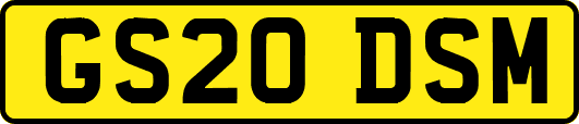 GS20DSM