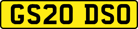 GS20DSO
