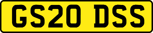 GS20DSS