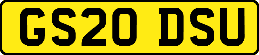 GS20DSU