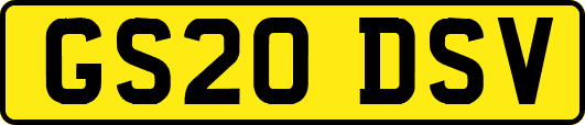 GS20DSV