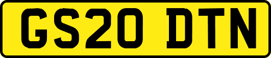 GS20DTN