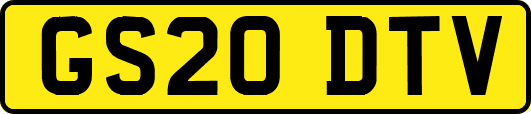 GS20DTV