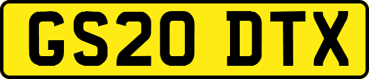 GS20DTX