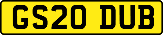 GS20DUB