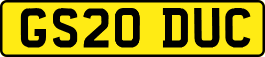 GS20DUC