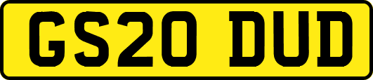 GS20DUD
