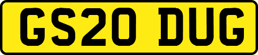 GS20DUG