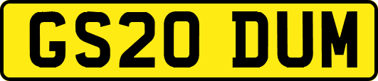 GS20DUM