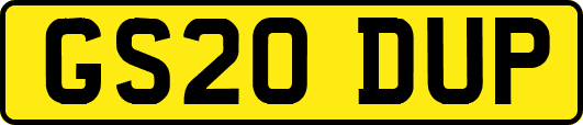 GS20DUP