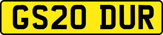 GS20DUR