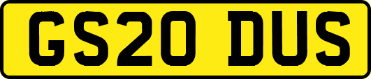 GS20DUS