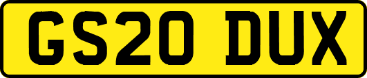 GS20DUX