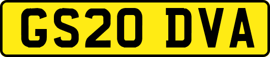 GS20DVA