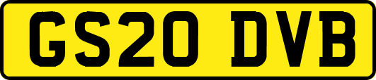 GS20DVB