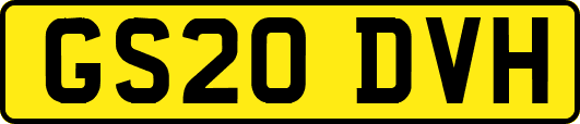GS20DVH