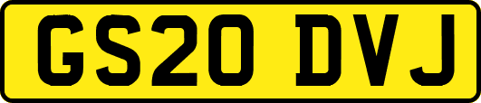 GS20DVJ
