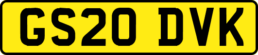 GS20DVK