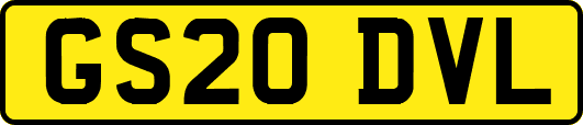 GS20DVL